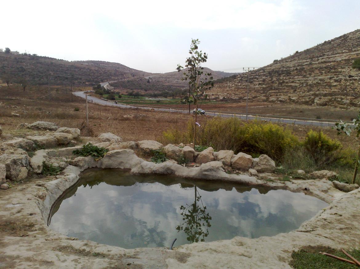 Merie Spring Meir Spring
