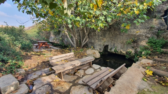 Merie Spring Meir Spring