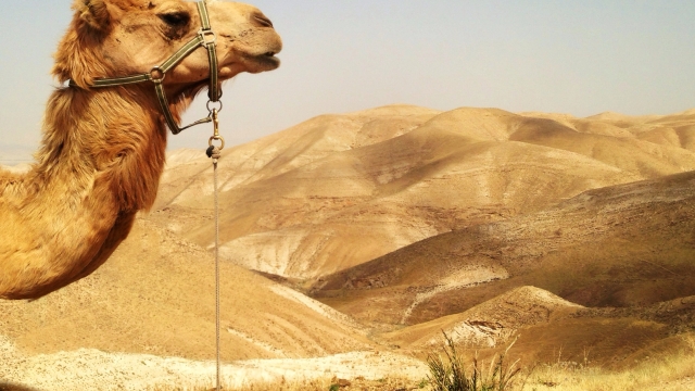 Eretz Beresheet 
